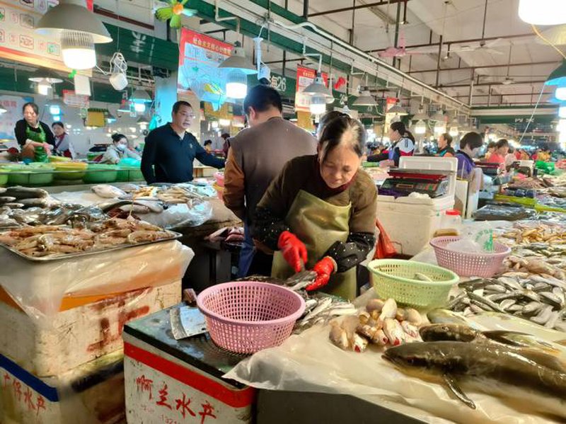 海口商贸公司的高效运营之道